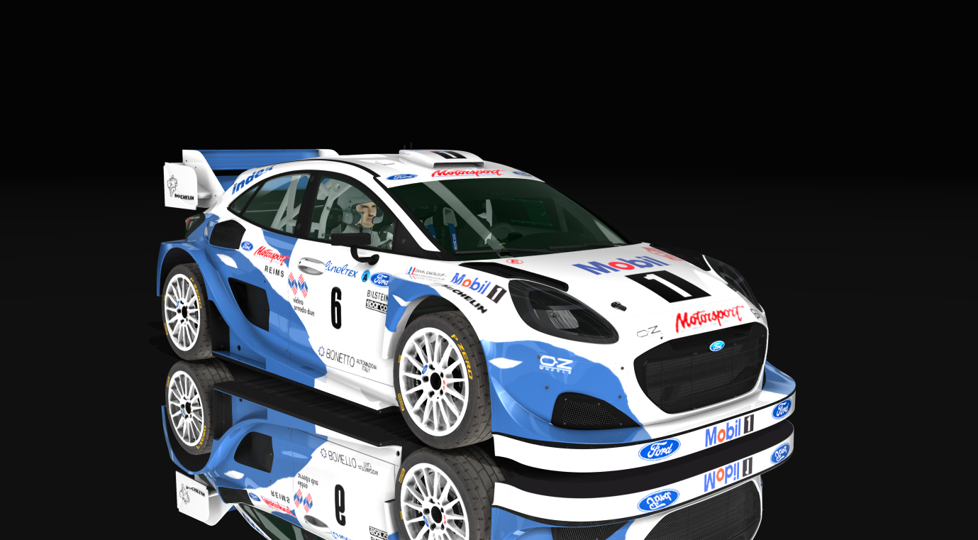 Ford Puma Rally1 2022, skin x_test