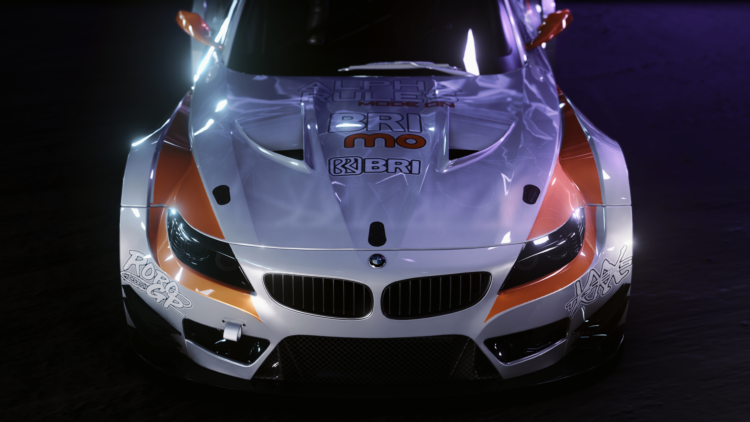 BMW Z4 GT3, skin Alpha Rules Z4 GT3 Ryan Plangiten