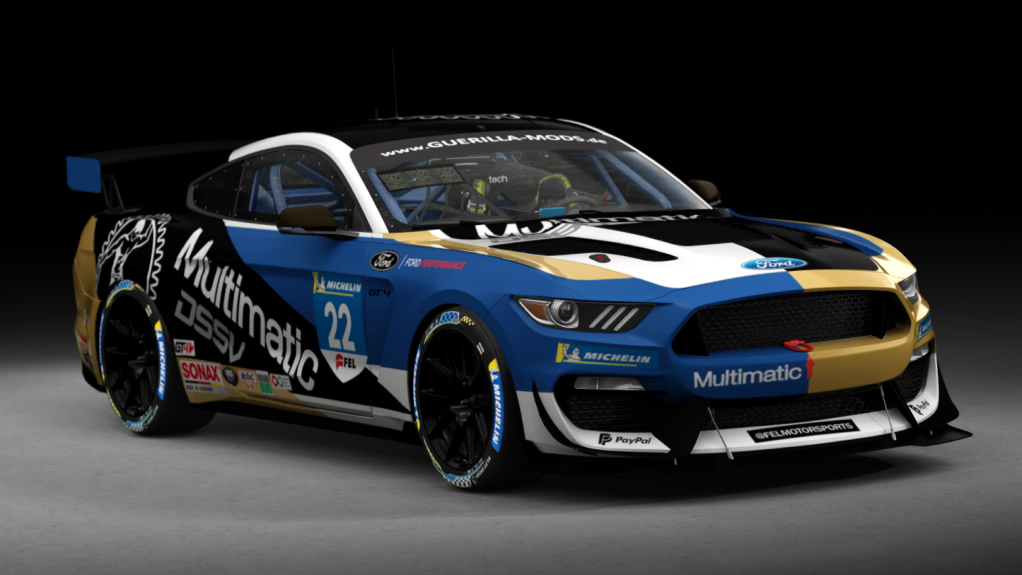 Ford Mustang GT4, skin 22_multimatic