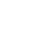 Audi R8 LMS GT2 Badge