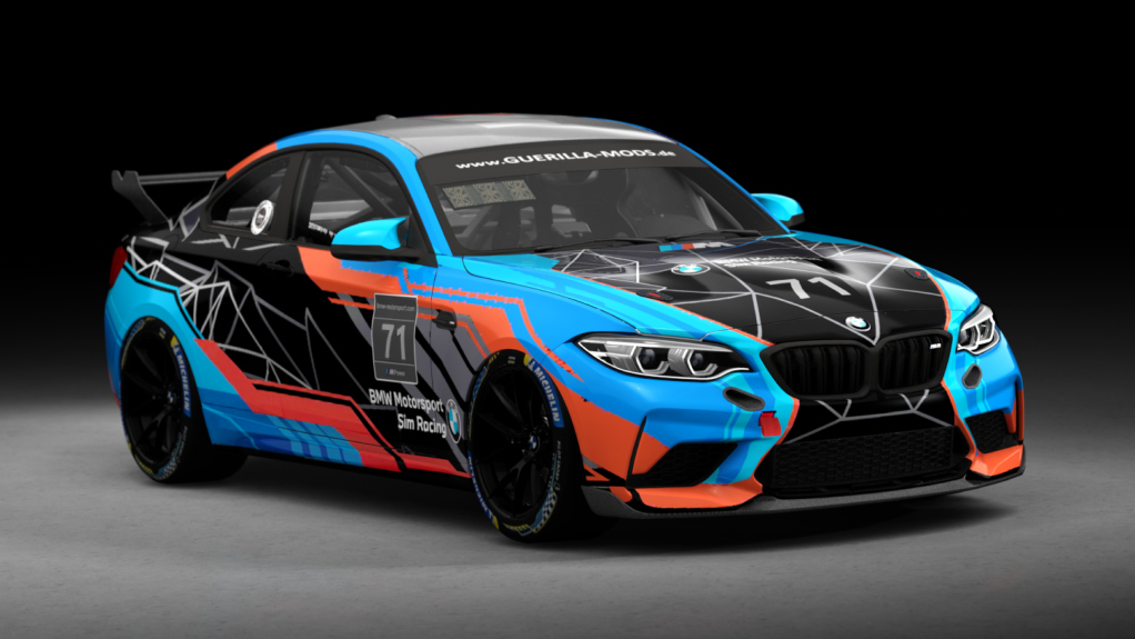 BMW M2 CS Racing, skin BMWMSR