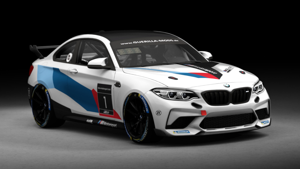BMW M2 CS Racing, skin bmw