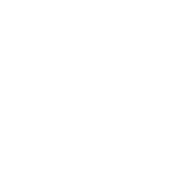 McLaren F1 GTR S1 Badge