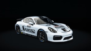 Porsche Cayman GT4 Clubsport, skin 18_cup_62