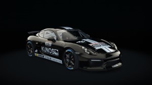 Porsche Cayman GT4 Clubsport, skin 19_cup_63