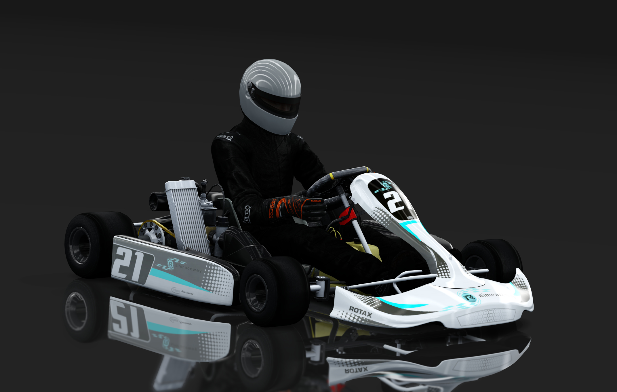 Rotax Max Kart, skin -21