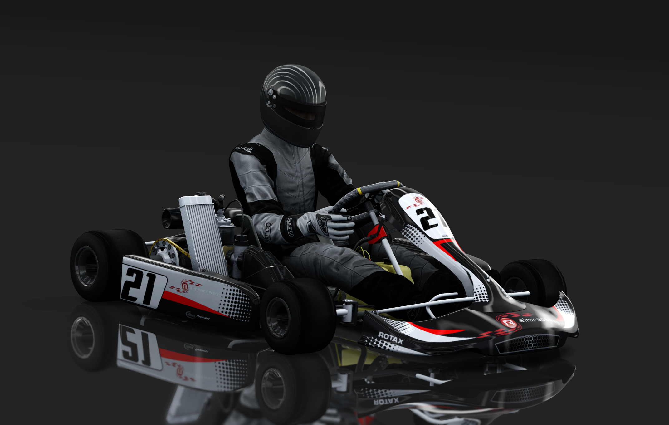 Rotax Max Kart, skin 21