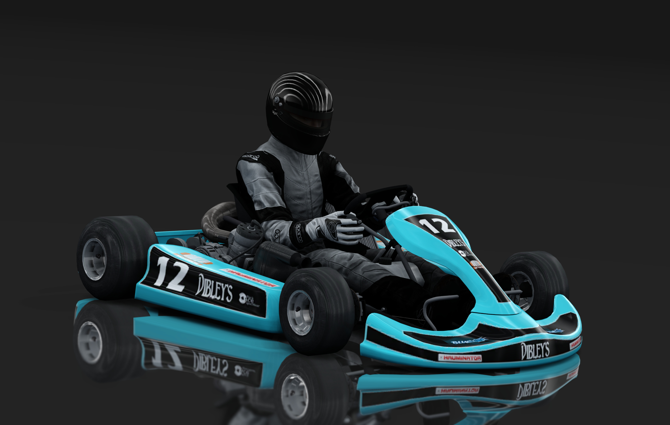 Shifter Kart 125cc, skin 12