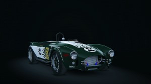 Shelby Cobra 427 Competition, skin 1973_feinstein_racing