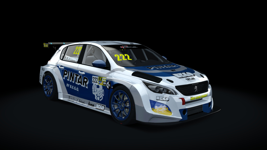 Peugeot 308 TCR Preview Image
