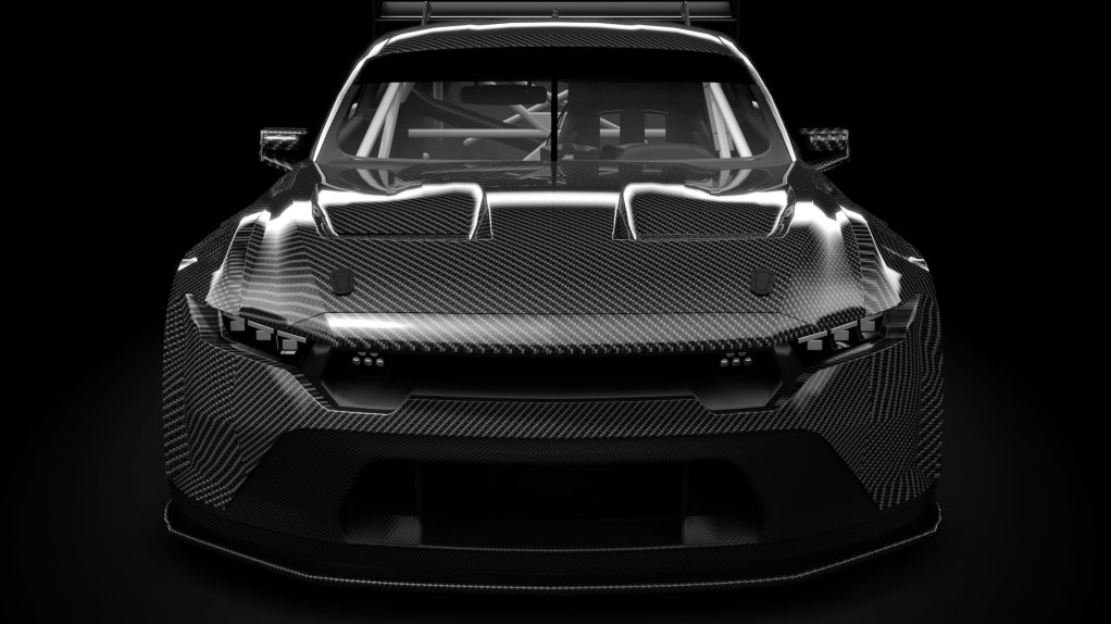 Ford Mustang GT3, skin z_carbon